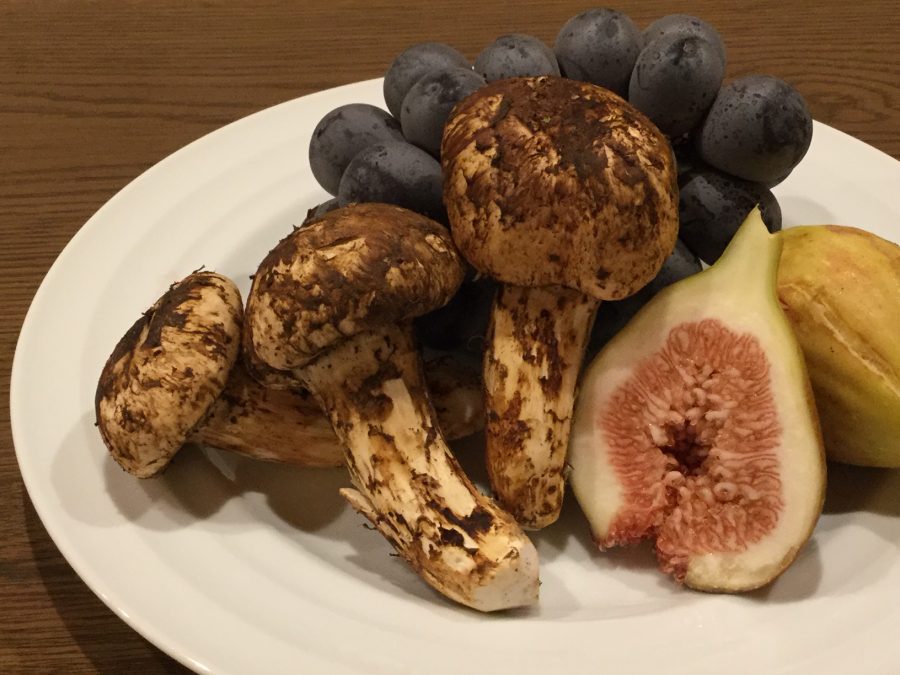 9月のお休み